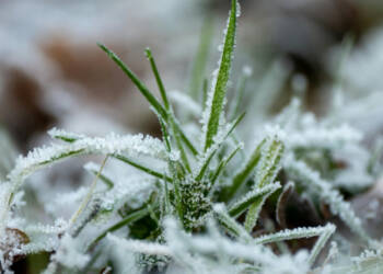 EAttachments94765493bc05f21f1074bbc4267762a8fd36317 xl