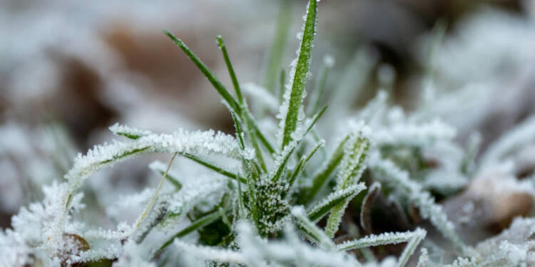 EAttachments94765493bc05f21f1074bbc4267762a8fd36317 xl