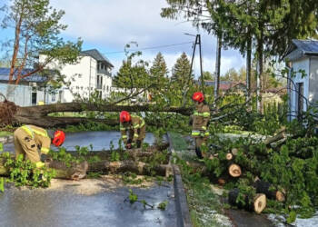 EAttachments9478453796833c98d891a9d8f9600da3a7d432f xl