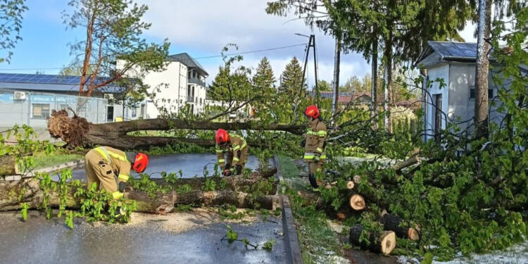 EAttachments9478453796833c98d891a9d8f9600da3a7d432f xl