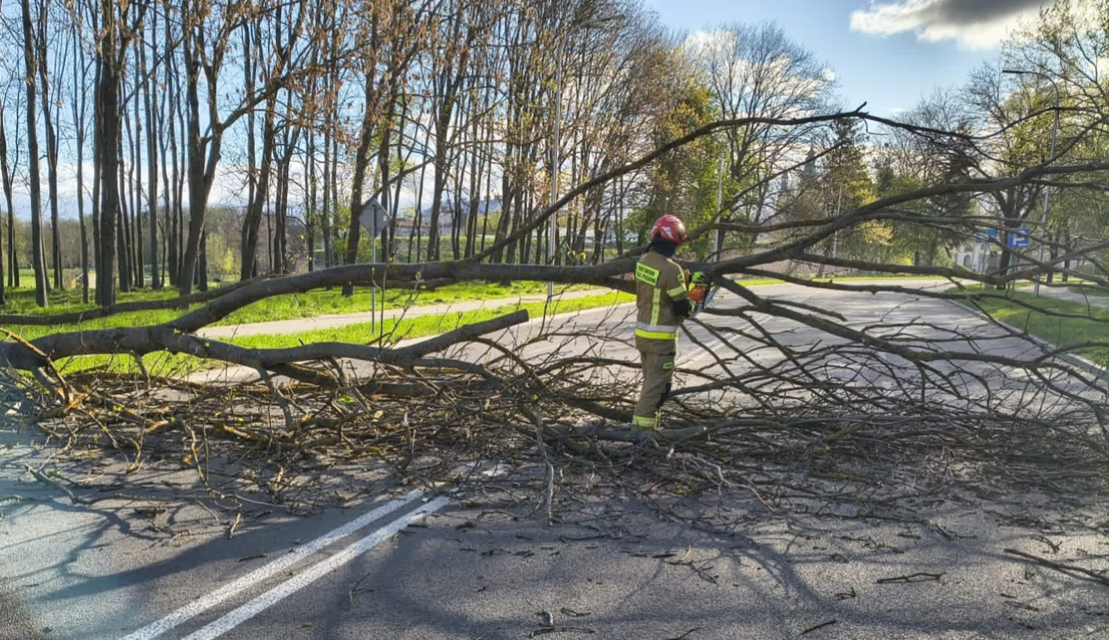 Pogoda dała się we znaki. Bilans weekendowych wichur 4 682722911_1290322733286725_6292767480134278445_n.jpg