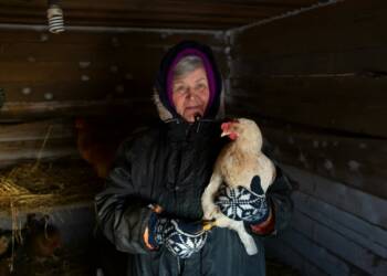 EAttachments94786943afb85a957f71f2774fa7953e763a213 xl