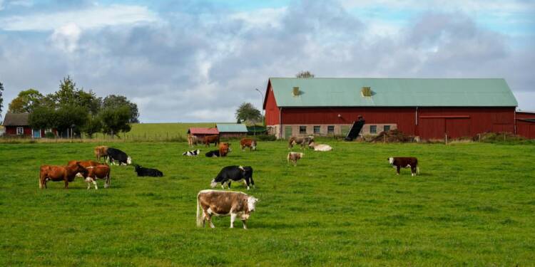 EAttachments9479292eb4e4dd03d528d55cae136e5aee89f22 xl