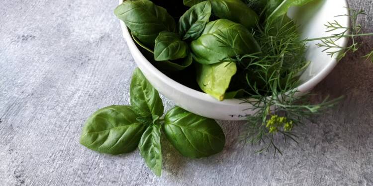 EAttachments9480016afdcc706368262dd1c95290e1fa49fbc xl