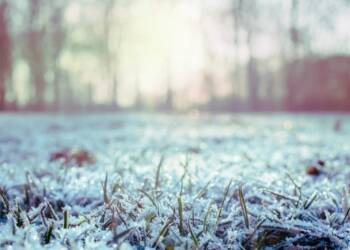 EAttachments94801839af783989d88a5a2e6fc624ef5817aae xl 1024x683 1