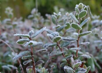 EAttachments948083849945a59ca3250b4d529ebeaa1828531 xl