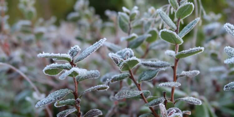 EAttachments948083849945a59ca3250b4d529ebeaa1828531 xl