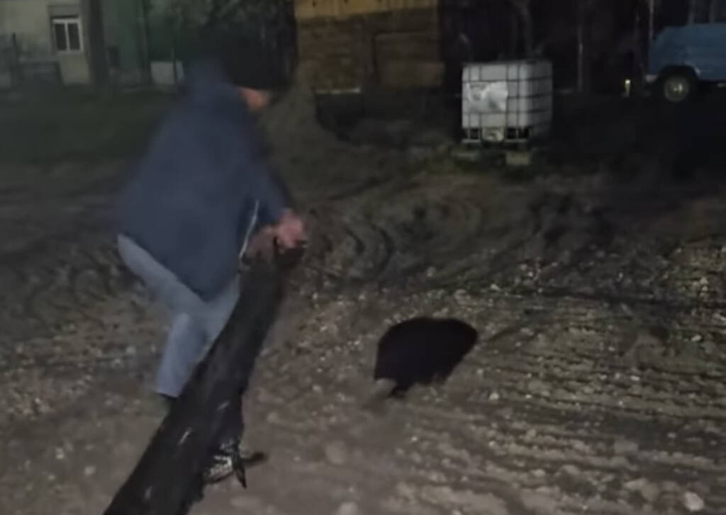 EAttachments9481061db0fda95d2ad57896105c53e04cbba6c xl