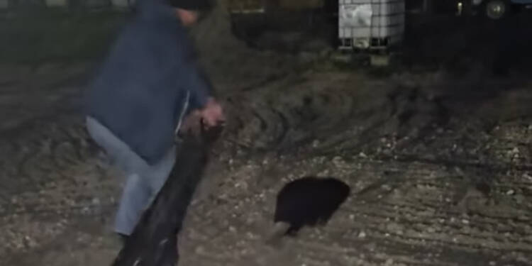 EAttachments9481061db0fda95d2ad57896105c53e04cbba6c xl