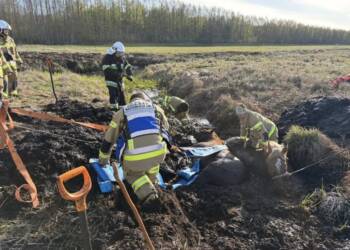 EAttachments9481328dc440968146923f03b803a25f04f0c46 xl 1024x768 1