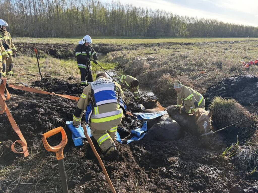 EAttachments9481328dc440968146923f03b803a25f04f0c46 xl