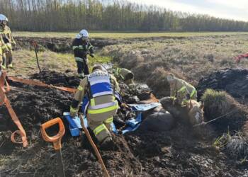 EAttachments9481328dc440968146923f03b803a25f04f0c46 xl