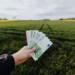 29.04.2026 Agrobiznes - wnioski z KPO 14 EAttachments9481373863041c805feaa6c95d9b222089d08b7 xl