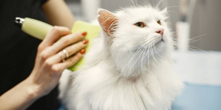 EAttachments9481669aa6bbf90d5cf8fc49d22171e405767ff xl