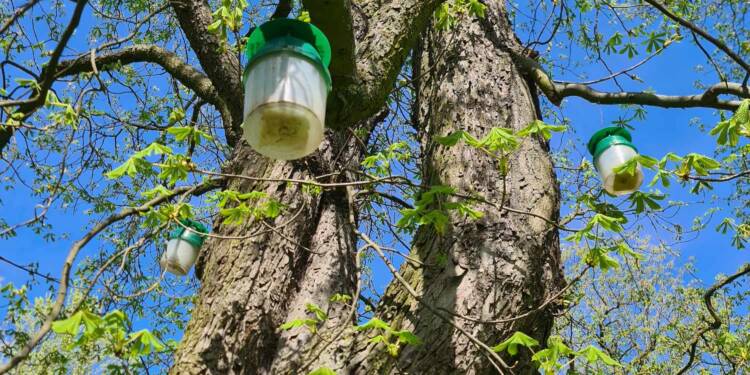 EAttachments94819925ed55ddd5ff0d46c8897c13f1127e207