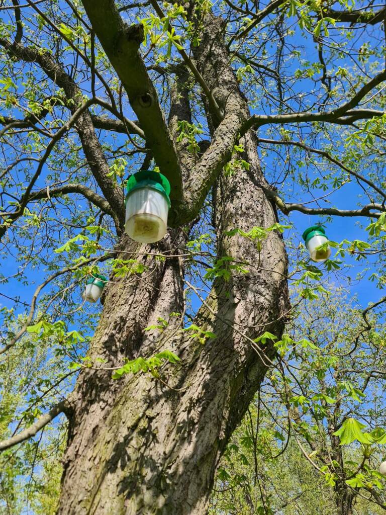 EAttachments94819925ed55ddd5ff0d46c8897c13f1127e207