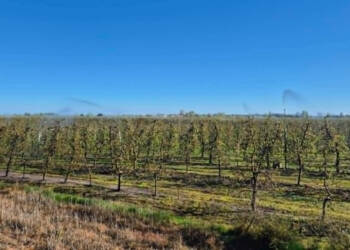 EAttachments9482033c2c0ccabdcd74ab2cc46e0ac2328beb2 xl