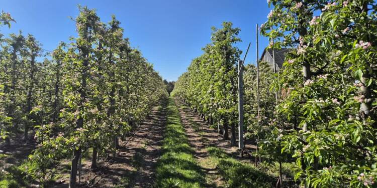 EAttachments9482033e60e9dba28f05981df9a0a0846f6ea4a xl