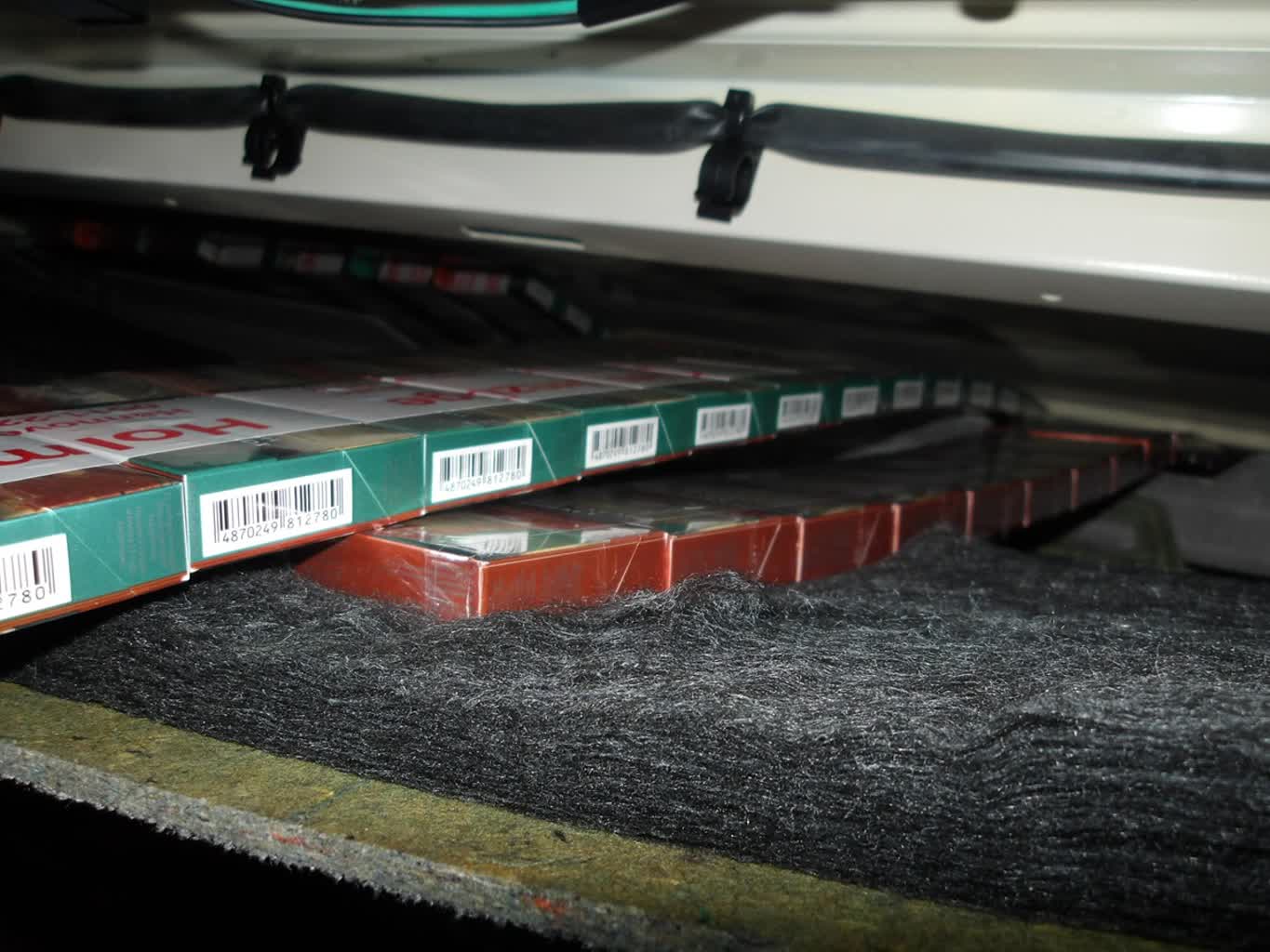 20260429_papieorsy_Koroszczyn (4).JPG