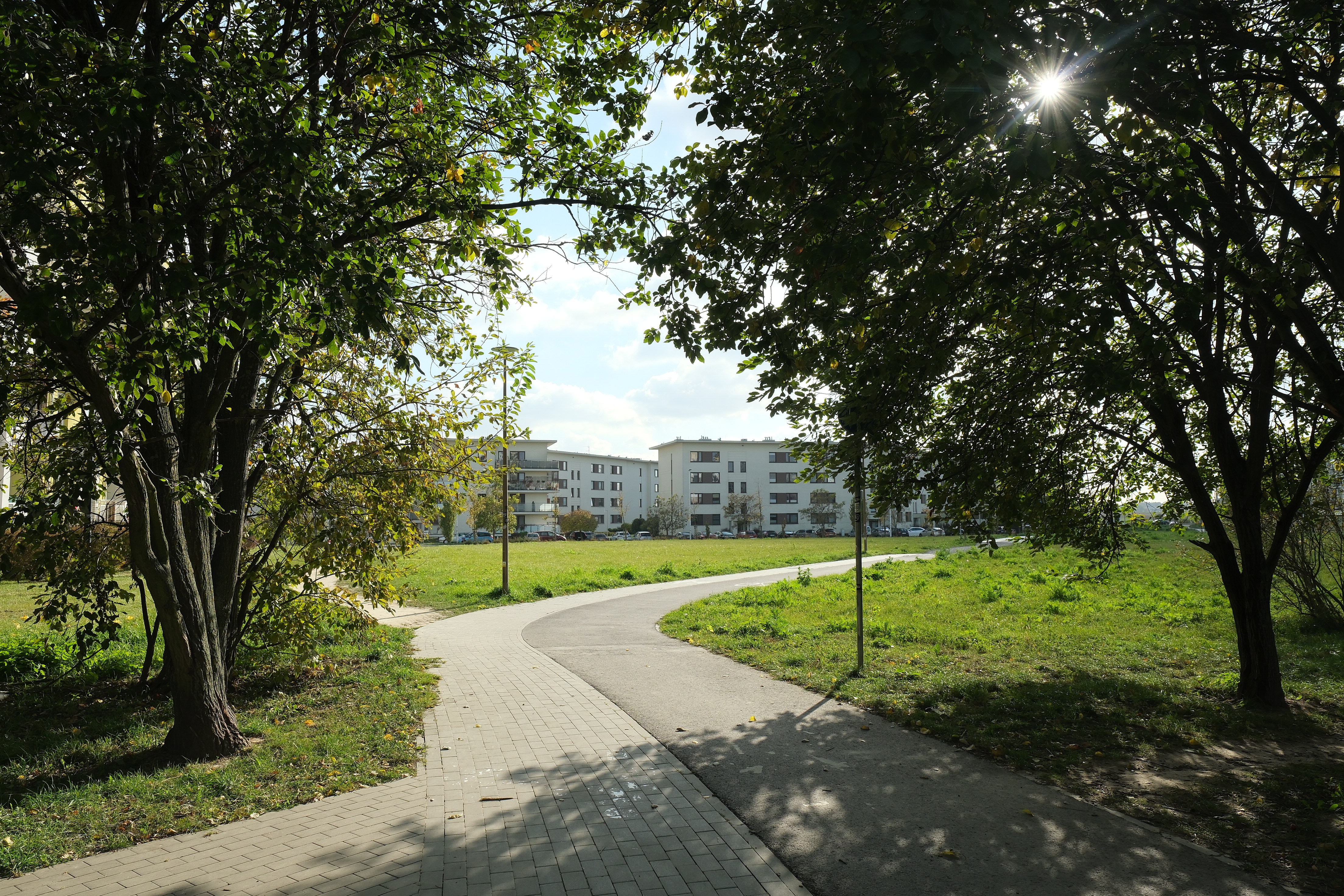 Nowe chodniki i ścieżka rowerowa. Kolejne inwestycje w Parku Centralnym