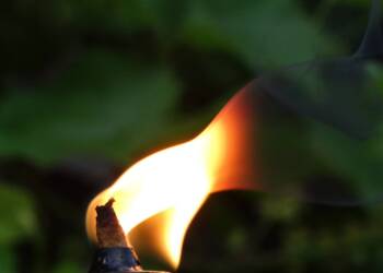 EAttachments948486261b913f2c5ed24c83e5654053afe1bd2 xl