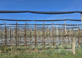 EAttachments9485261cbe94450eee6a1f7307c3f9cf07b02ab xl 1024x768 1