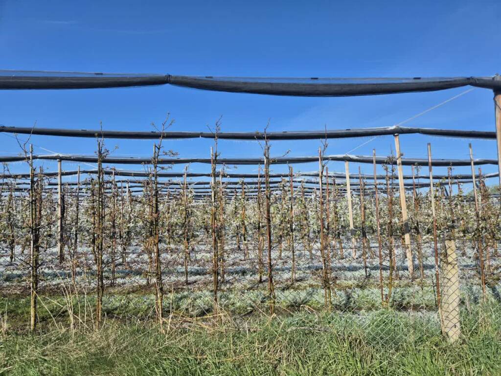 EAttachments9485261cbe94450eee6a1f7307c3f9cf07b02ab xl