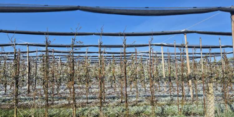 EAttachments9485261cbe94450eee6a1f7307c3f9cf07b02ab xl