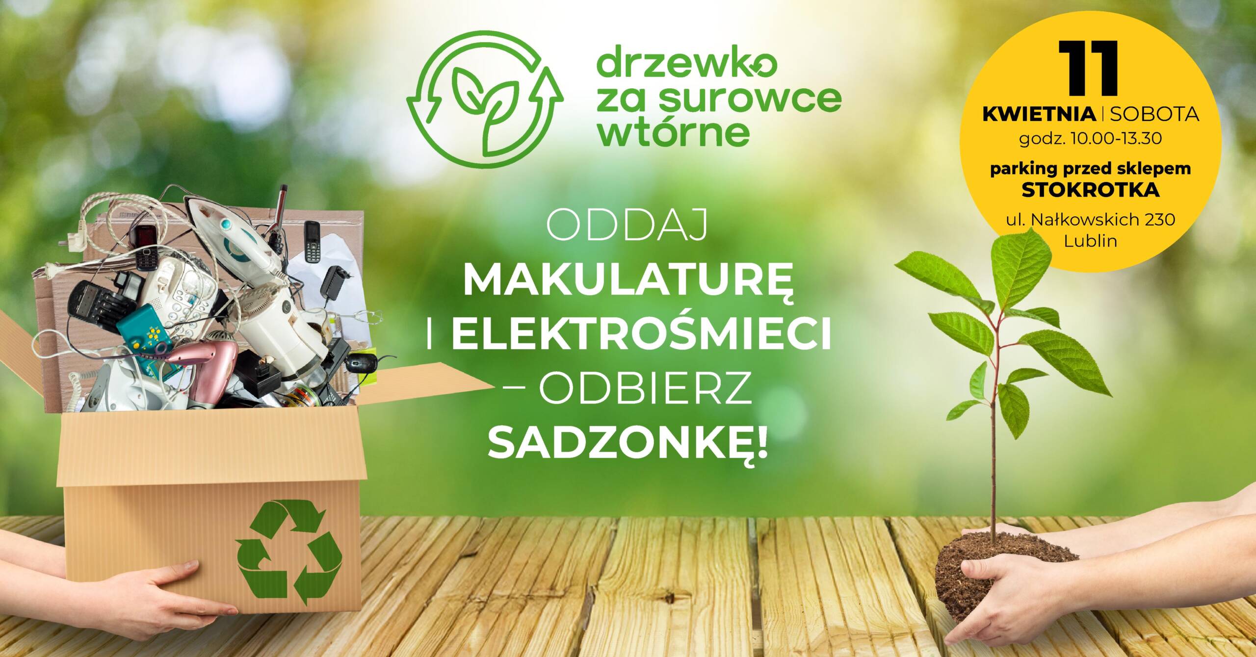 drzewko Lublin grafika scaled