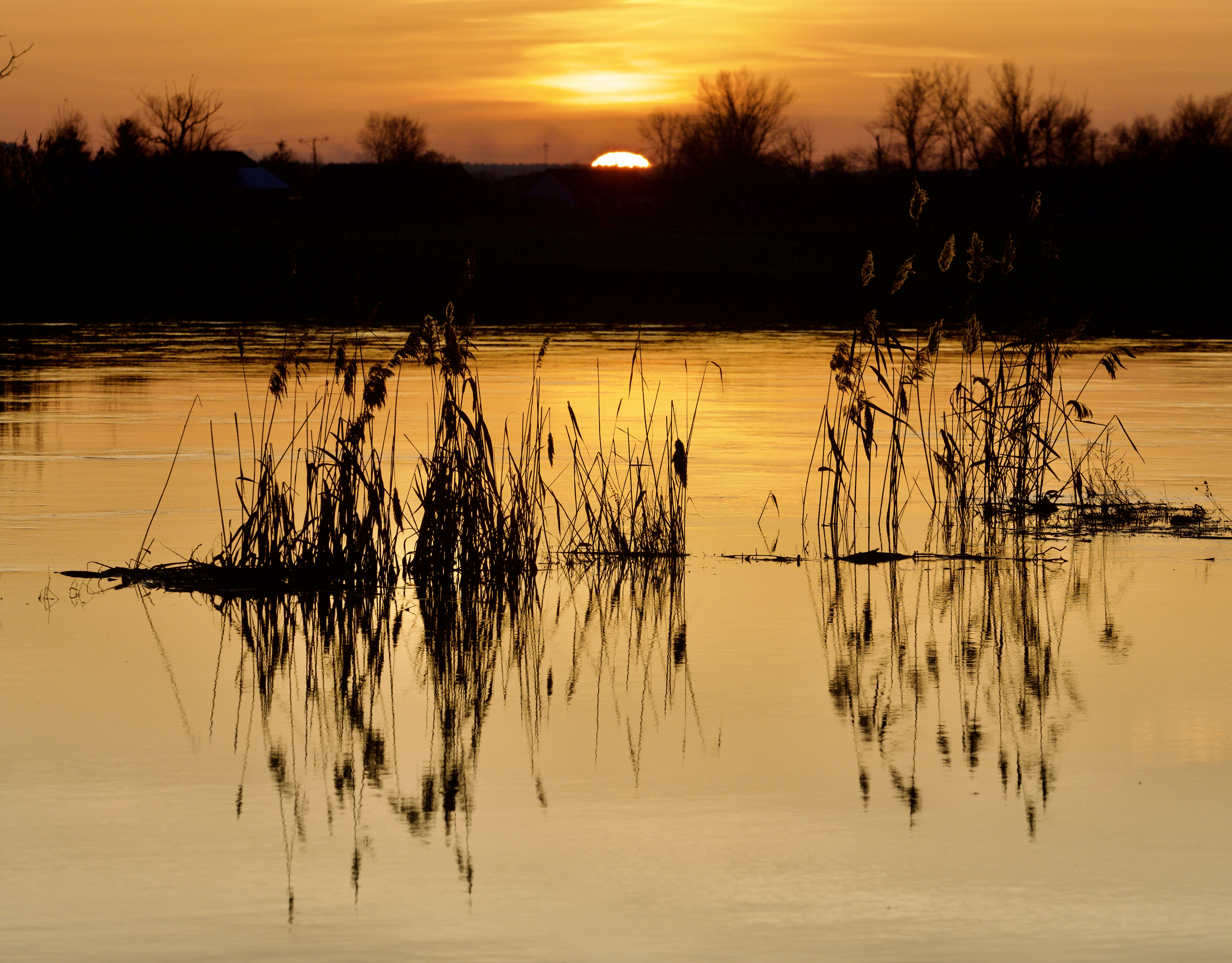 17.05.2026 Naturalnie Lubelskie
