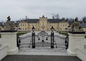 Kilkadziesiąt drzew do usunięcia w Radzyniu Podlaskim. Miasto tłumaczy decyzję 2 DCIM\100MEDIA\DJI_0440.JPG