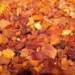 EAttachments8652346766ebf281028b835d3ba62a741534fe8