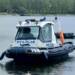 Nietypowa interwencja policji. Koziołek na środku zalewu 10 EAttachments9489562240e66147384d1e2e68f7b5622dbf7c8