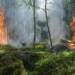 Pogoda sprzyja pożarom. Strażacy apelują o ostrożność 10 EAttachments94896281a13b8c7831d8dcc401d5aa35429823d xl