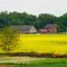 07.05.2026 Agrobiznes - o płatnościach bezpośrednich i rasach zachowawczych 11 EAttachments94977439c01b15703bc82a5fb3e2cfbd081e1ce xl