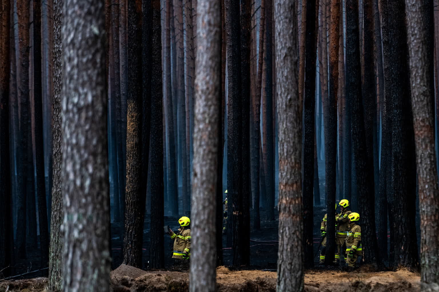 Burmistrz Józefowa: To katastrofa ekologiczna na niespotykaną skalę 3 mid-26507657.jpg