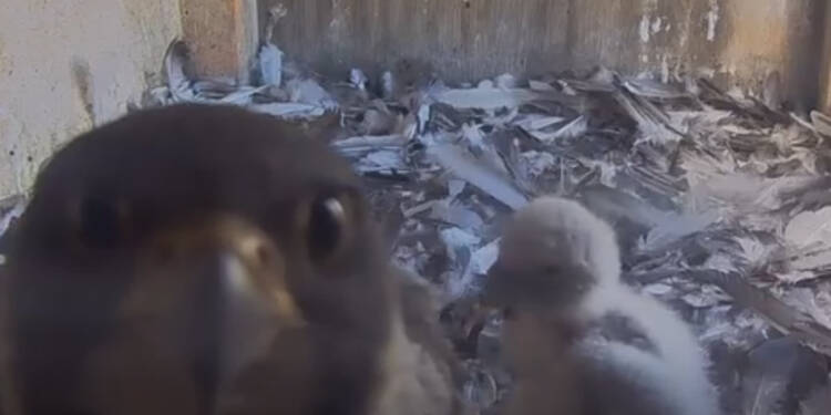 EAttachments95043663e4ae1db24261b75e8919ad74d3100fc xl