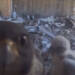 EAttachments95043663e4ae1db24261b75e8919ad74d3100fc xl