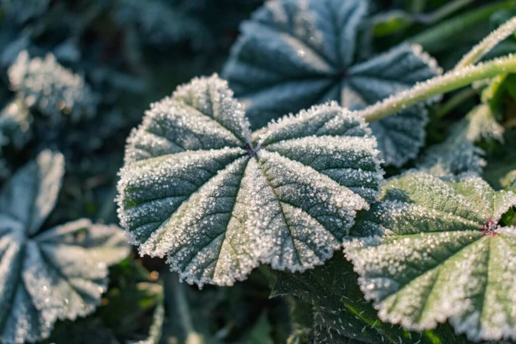 EAttachments9505238e95d74a50a777ccffc8bbb0329cadae2 xl