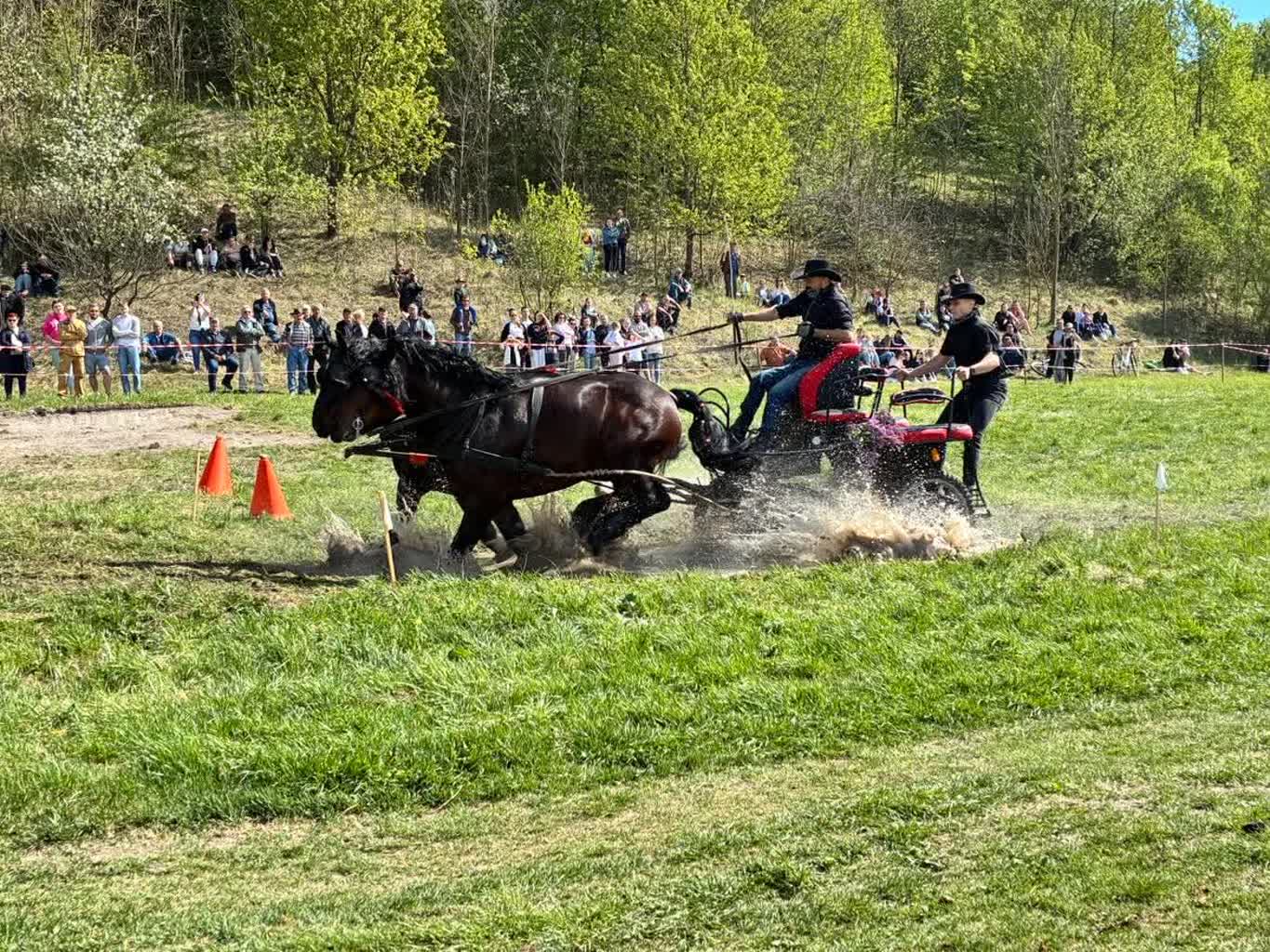 691039686_808633338722626_1831103819575129852_n.jpg