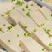 14.05.2026 Agrobiznes - innowacyjny model lubelskich naukowców 10 EAttachments95132268a28f2244444c27bdade6870fb6ec324 xl