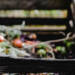 EAttachments9517089edfb1cbe5672b7917cc97f6052878d44 xl