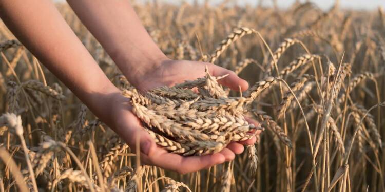 19.05.2026 Agrobiznes - o kontroli jakości artykułów rolno-spożywczych 1 EAttachments95224909e63adf02e5638db89a18859e3f9b2cd xl