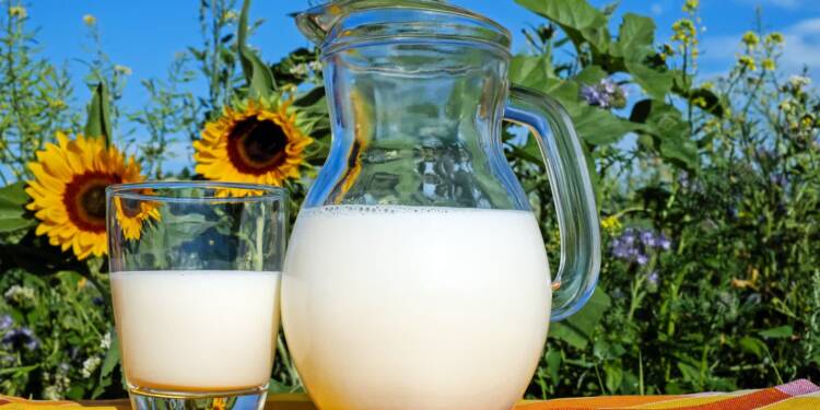 22.05.2026 Agrobiznes - Agro Show w Ułężu 1 EAttachments95290899cb0abf49a69933638015e5ae2b26829 xl