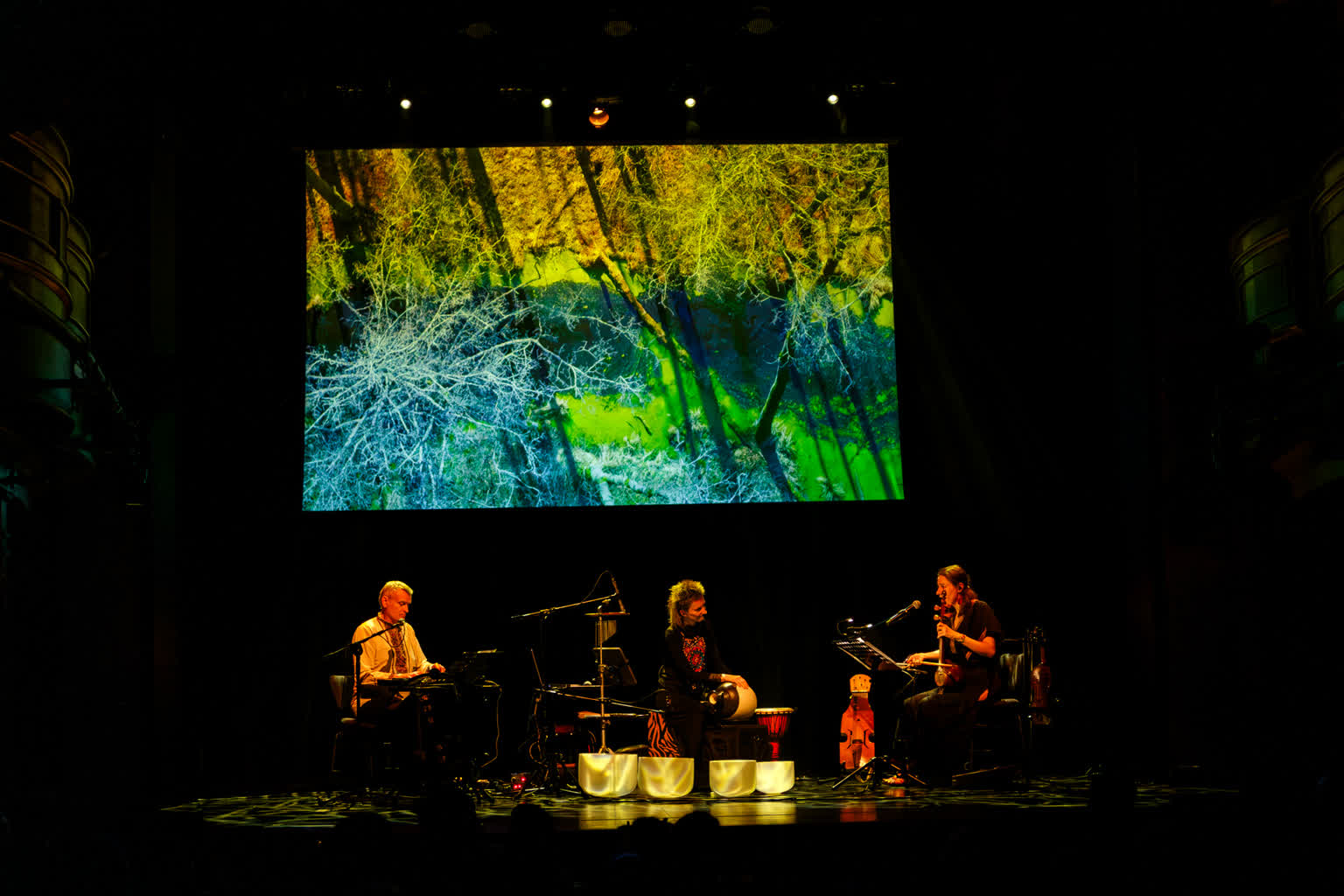 Festiwal-przyrody-21.05.2026-Michalew-13.jpg