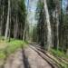 Singletracki mają powstać na Roztoczu. Rusza nowy projekt 10 EAttachments9530802644ef9506e672abaad2d2be1c806d1b4 xl