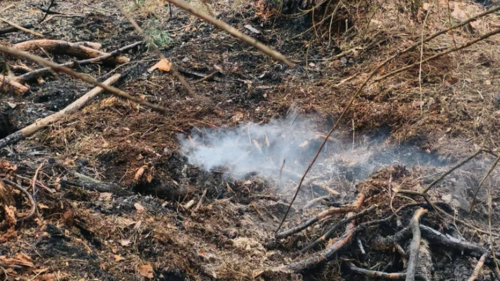 Dym spod ziemi i płonące drzewa. Wciąż niebezpiecznie w Puszczy Solskiej 3 EAttachments9531818ceb6eff424d63f6bee002446d5607652 xl