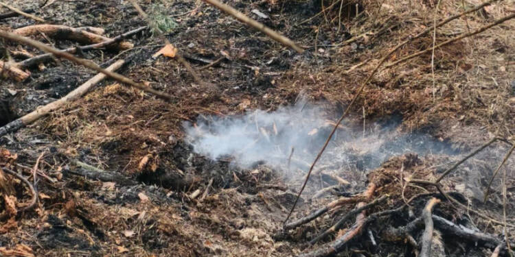 Dym spod ziemi i płonące drzewa. Wciąż niebezpiecznie w Puszczy Solskiej 1 EAttachments9531818ceb6eff424d63f6bee002446d5607652 xl