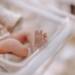 Szczęśliwy finał. Trojaczki z lubelskiego szpitala wróciły do domu 10 EAttachments95520338d44c1eac9dac8b9907256b685a606f2 xl