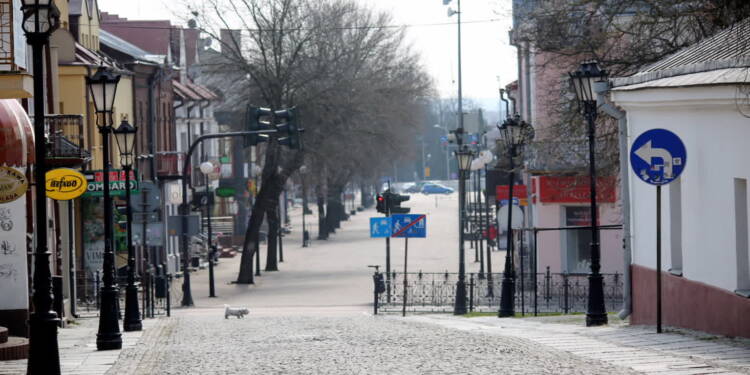 Co jadali mieszkańcy Chełma kilkaset lat temu? Dowiedzieliśmy się tego dzięki... pasożytom 1 EAttachments9568313a450e337053d658954ec6cd0da7a508e xl